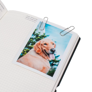 Promotion Price 28mm 100pc Flat Round <strong>Silver</strong> Metal Paperclips Office Supplies Essential Paper <strong>Clips</strong> - Product Image 3