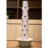 Agriculture verticale aéroponique, culture hydroponique en tour verticale pour les légumes-feuilles