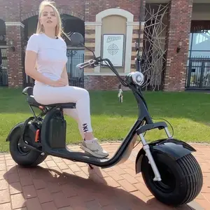 Fabrika üretim Citycoco bebek koltuğu ile Golf Evo 1200W motosiklet elektrikli Scooter için yetişkin