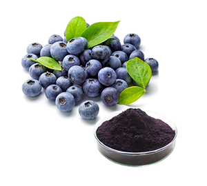 <span class=keywords><strong>100</strong></span>% 天然越橘提取物粉末25% 花青素 - Product Image 2