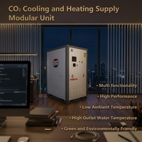 Distributeur de machines industrielles, unité de pompe à chaleur modulaire pour le refroidissement et le chauffage au CO2 R744, pompe à chaleur à réfrigérant naturel
