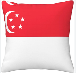 Brunei drapeau taie d'oreiller pour cheveux et peau corps taie d'oreiller Ultra doux taies d'oreiller respirant taie d'oreiller - Product Image 6