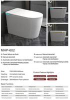 Vente en gros de toilettes intelligentes murales en céramique avec bidet électronique intégré, séchoir, auto-nettoyantes, gain de place, fournisseur pour projets hôteliers