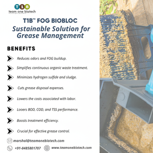 Bloc de panne de brouillard écologique pour une gestion efficace des déchets des restaurants et des hôtels - Product Image 1