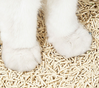 Litière pour chat en tofu non parfumée, ultra faible teneur en poussière, sable végétal pour chats sensibles aux problèmes respiratoires