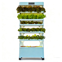 Système hydroponique d'intérieur Skyplant Home à 5 niveaux de type armoire avec pompe pour la culture de graines de légumes à feuilles