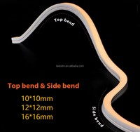 Nouveaux Néons LED 3D Flexibles à Effet de Vue Supérieure et Latérale, Blanc Chaud/Froid, RGB Numérique, IP67, en Silice Fumée pour Projets