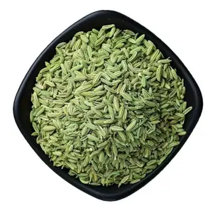 Graines de fenouil vert Qingchun Spice Wholesale