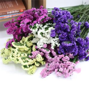Naturel Real Touch DIY fait à la main séché préservé fleur éternelle Forget-Me-Not longue durée fleur décorative préservée Statice - Product Image 1