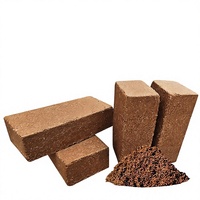 Cubes de tourbe de coco de qualité supérieure pour la culture de semis de fleurs, de légumes, la propagation en pépinière et la croissance contrôlée