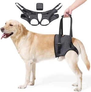 สายรัดพยุงขาหลังสำหรับสุนัข ช่วยในการฟื้นฟูสุนัขที่บาดเจ็บหรือหลังการผ่าตัด ACL - Product Image 1