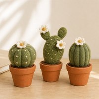 Ensemble d'ornements de bureau en cactus feutrés à la main, mini-succulentes en laine, cadeau d'anniversaire, décoration d'intérieur, vente en gros