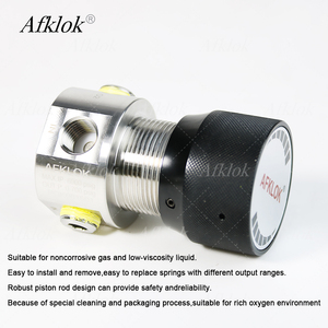 Oksijen Ortamı için WR1B Serisi Mikro Basınç Düşürücü Regülatör 6000psig AST G93 Sınıf C - Product Image 3