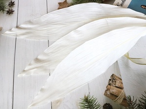 Display sbiancato con immagine di fiori secchi di orchidea eterna con decorazione di nozze decorazione fotografia ornamento piante lineari - Product Image 3