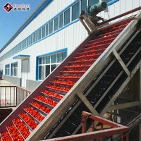 Compleet Project Voor Tomaat Geconcentreerd Pasta Saus Bechamel Ketchup Productie Lijn