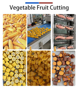 Industrial 3-5T/H Continuous Leafy Vegetable Celery Cutting Machine Roll Knife Cutter for Cabbage Celery Customizable Size - Product Image 5