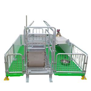 Migliori Attrezzature per Allevamenti Suini su Larga Scala: Gabbie per Parto e Gestazione per Suine per un'Efficiente Allevamento di Suinetti e Scrofe - Product Image 4