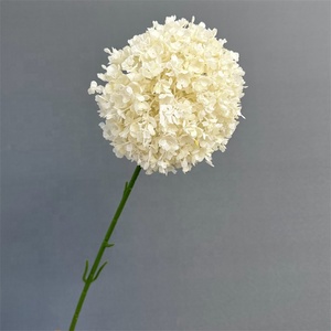 Vente en gros de fleurs artificielles de pissenlit boule d'oignons artificiels grande taille 76cm fleurs artificielles d'<span class=keywords><strong>allium</strong></span> de mariage de pissenlit - Product Image 5