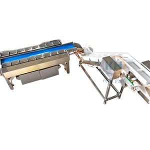 Balance combinée multi-têtes 16 pour pesage par lots de filets de poisson congelés (saumon, pangasius) – Balance combinée pour la mesure du poids - Product Image 1