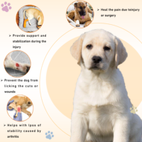 Manchon de protection de récupération avec logo personnalisé jarret de genou pour chien attelle articulaire ACL pour chien