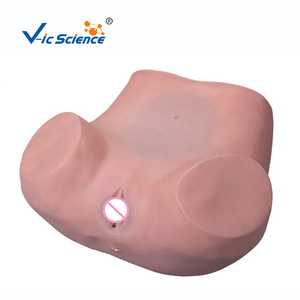 Équipement de simulation de modèle d'examen gynécologique médical - Product Image 2