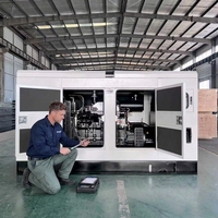 Groupe électrogène diesel silencieux 150 kW à prix abordable, facilement transportable, avec alternateur à bobinage 100 % cuivre, idéal pour les zones isolées et les grandes exploitations agricoles