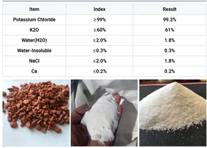 Muriato de Potasio MOP 60% K2O, Fertilizante de Cloruro de Potasio Granular, Potasa de Alta Calidad para Cultivos, Fertilizante Agrícola - Product Image 5