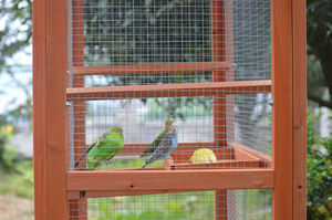 Vendita calda impermeabile all'aperto grande legno Finch gabbia Cockatiel in legno gabbia per uccelli da compagnia - Product Image 5