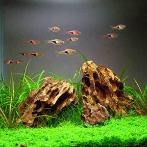 <span class=keywords><strong>Aquarium</strong></span> Landschapsarchitectuur Fijne Dennenhuid Steen Voor <span class=keywords><strong>Aquarium</strong></span> Landschapsarchitectuur - Product Image 2