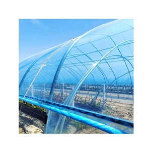 Telo in Plastica PE/PO Trasparente per Serra Agricola, Spesso e Durevole, Senza Gocciolamento, per Ortaggi - Vendita all'Ingrosso - Product Image 4