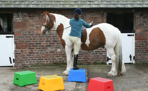 บล็อกขึ้นม้าแบบ <span class=keywords><strong>2</strong></span> ขั้น สำหรับงานหนัก - Product Image 4