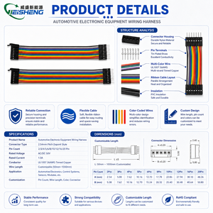 Faisceau de câblage électronique automobile personnalisé en cuivre étamé PVC, longueur 10-100 cm, plat, Dupont 2,54 mm de pas, 40 broches, 300 V - Product Image 3