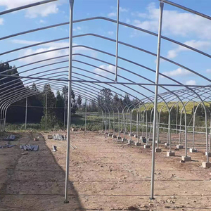 8X60M Gegalvaniseerd Stalen Frame Tunnel Huis Agrarische Kas - Product Image 6