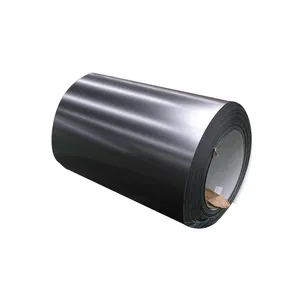 Prime Manufacturer 2mm Ppgi Ppgl Color Coated Steel Coil Ral Color Glossy Prepainted Galvanized Steel Coil For Construction