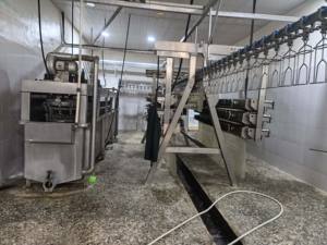 آلة متكاملة أوتوماتيكية بالكامل لسلق وتجريد الدجاج والبط والإوز والدواجن - Product Image 4