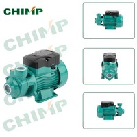 Pompe à eau périphérique domestique CHIMP 0,5 CV QB60 0,37 kW, petite pompe de surpression à vortex
