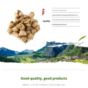 Panax Notoginseng葉と根の抽出物80% 全サポニン濃縮エッセンスパウダーTianqiと計量スプーン - Product Image 3