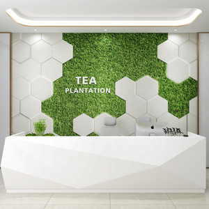 <span class=keywords><strong>Carta</strong></span> <span class=keywords><strong>da</strong></span> <span class=keywords><strong>Parati</strong></span> 3D Moderna in Seta Impermeabile Antistatica con Motivi Vegetali per Ufficio, Palestra, Casa e Decorazione Reception - Product Image 2