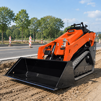 Loader Skid Steer NIMBUS Bersertifikasi EPA Euro 5 dengan Kontrol Pilot untuk Pekerjaan Pembersihan Jalan di Kebun dan Lahan Pertanian