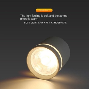 10W 15W 20W y 25W Iluminación interior SMD Led Downlight Cuerpo de aluminio Montado en superficie en blanco y negro - Product Image 3