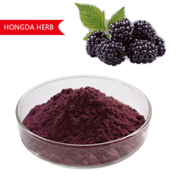 Bubuk Mulberry Alami Premium, Bubuk Buah Murni Halus, Kaya Antosianin untuk Bahan Baku Pengolahan Makanan