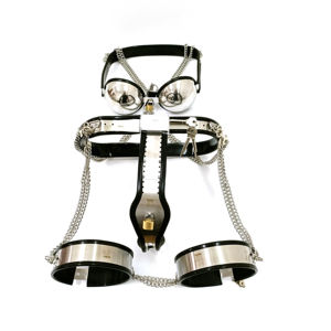 Ceinture de chasteté pour femmes, soutien-gorge en acier inoxydable, en forme de T, bondage BDSM, anneau de cuisse, nouvelle collection 2020 - Product Image 1