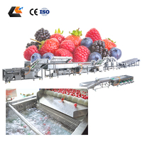 Olijvenreiniger Avocado Ui Sorteermachine Industriële Passievrucht Wasmachine Fruit/Groente Verwerkingslijn