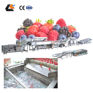 Máquina Limpiadora <span class=keywords><strong>de</strong></span> Frutas, Máquina Clasificadora <span class=keywords><strong>de</strong></span> Aguacates y Cebollas, Máquina Industrial para Lavar Frutas <span class=keywords><strong>de</strong></span> la Pasión, Línea <span class=keywords><strong>de</strong></span> Procesamiento <span class=keywords><strong>de</strong></span> Frutas/Vegetales - Product Image 2