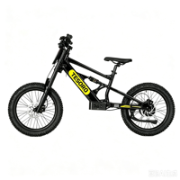 Bicicleta Eléctrica Infantil de 20 Pulgadas, 48V, 6.0AH, 1000W, Diseño sin Escobillas, Sensor Inteligente, Aleación de Aluminio y Litio, para Exteriores