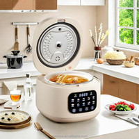 Cuiseur à riz électrique numérique pour cuisine domestique 2l/3l/5l multifonction à faible teneur en sucre Opiton Mini Porridge Congee Soup Maker