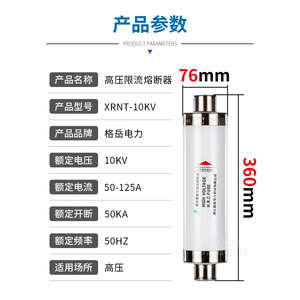 ฟิวส์จำกัดกระแสไฟฟ้าแรงสูง Xrnt 10Kv 50-125A กำลังตัด 50Ka สำหรับงานไฟฟ้าแรงสูง - Product Image 1