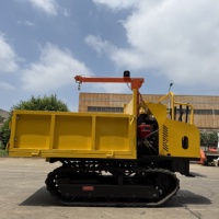 RDGM ASV Mini Diesel-Raupentraktor mit Hoher Ladekapazität, 300L Schaufel, 1300kg Gewicht, Changchai-Motor