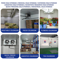 Conteneur frigorifique mobile de haute qualité de 20 pieds pour viande congelée, chambre froide de stockage alimentaire, chambre froide mobile