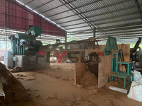 Offre Spéciale Machine à Défibrer la Noix de Coco, Broyeur de Tourbe de Coco, Machine de Fabrication de Fibre de Coco